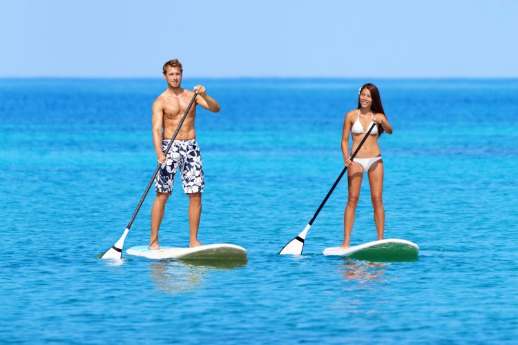 paddle board paddles